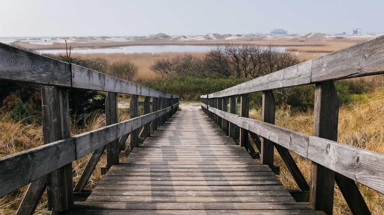 AI धमाका: GenAI कोर्सेज़ से बदलेगा इंडिया का एजुकेशन सिस्टम? 🚀