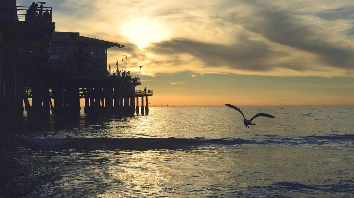 Ankita Bhandari Murder Case Justice Demands