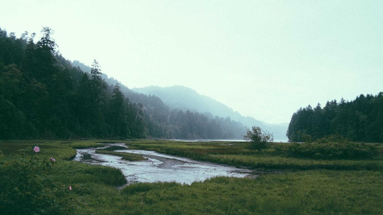 Indian Student Arrest Video - UK Grooming Case