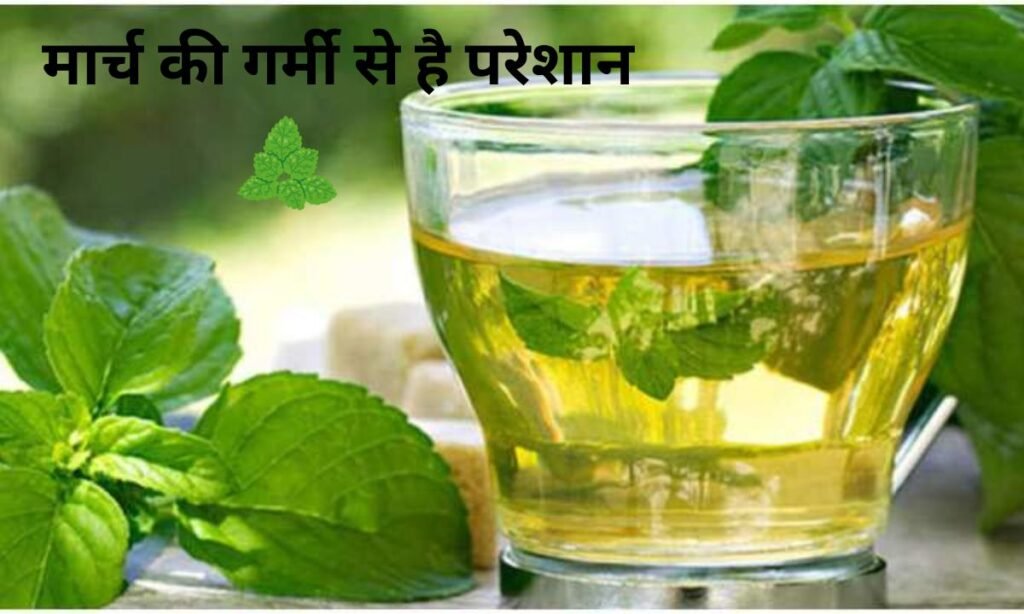 मार्च की गर्मी से है परेशान, यहां पर देखिए चमत्कारी उपाय