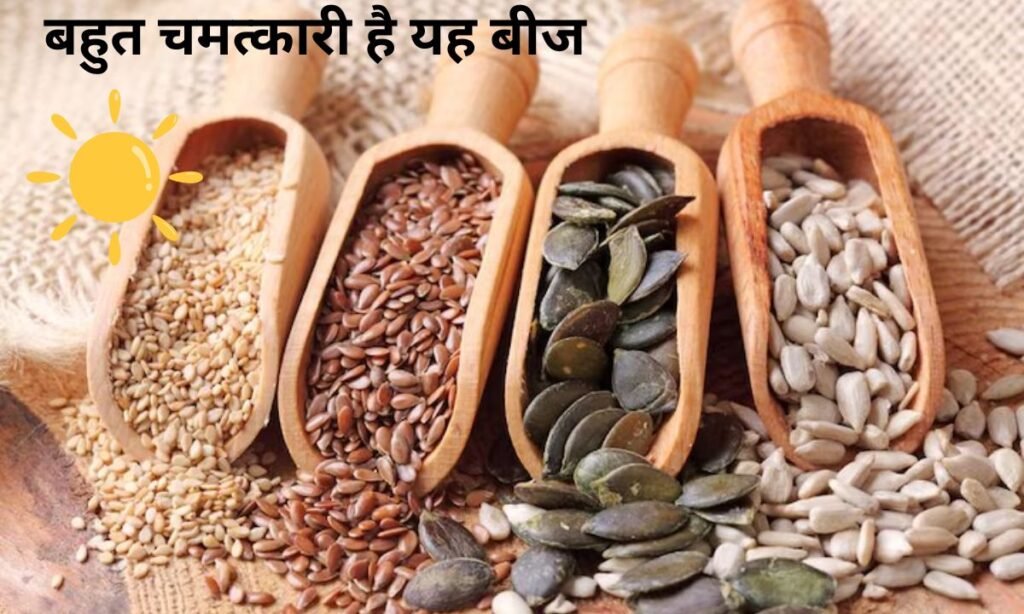 बहुत चमत्कारी है यह बीज, गर्मी के मौसम में देते हैं ठंडक का एहसास