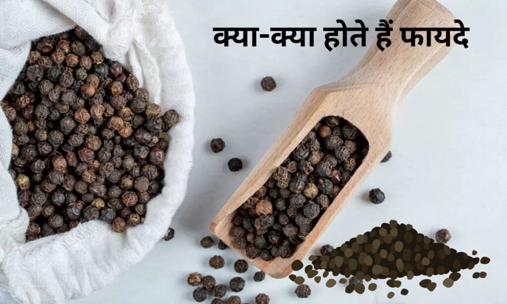 काली मिर्च का सेवन करने से क्या-क्या होते हैं फायदे, यहां पर देखिए