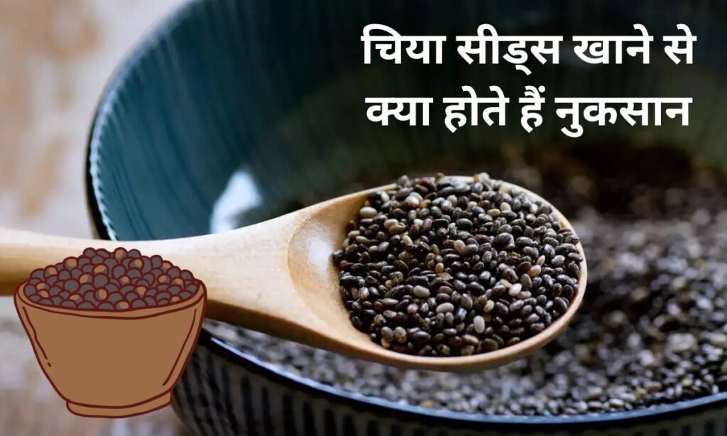ज्यादा मात्रा में चिया सीड्स खाने से क्या होते हैं नुकसान, जल्दी से देख लीजिए