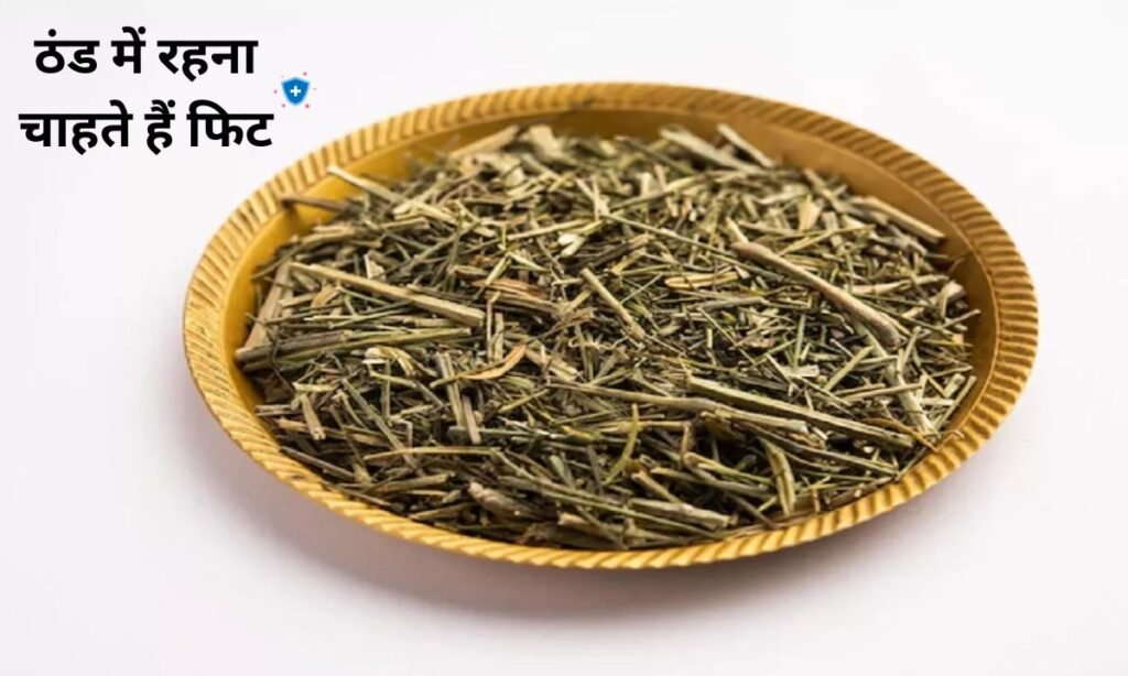 ठंड में रहना चाहते हैं फिट, इस चीज का करें सेवन