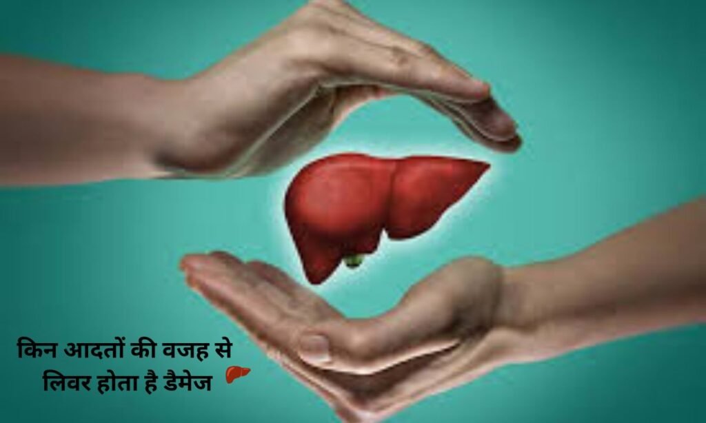 Which habits cause liver damage, see here