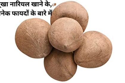 About the many benefits of eating dry coconut