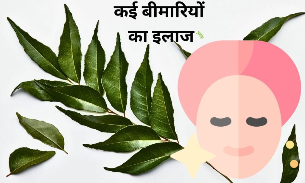 करी पत्ता का सेवन, है कई बीमारियों का इलाज
