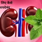 How are mint leaves beneficial for the kidneys