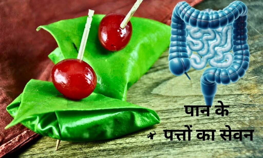 पान के पत्तों का सेवन, कैसे होता है फायदेमंद