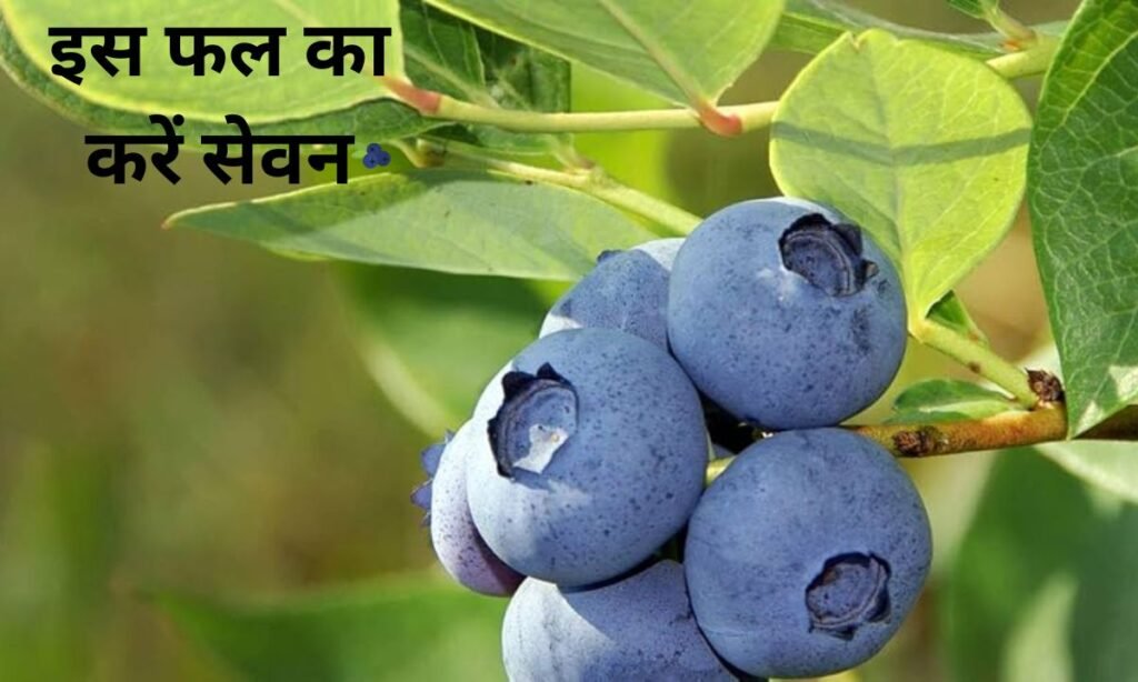 स्किन को जवान रखने के लिए, इस फल का करें सेवन