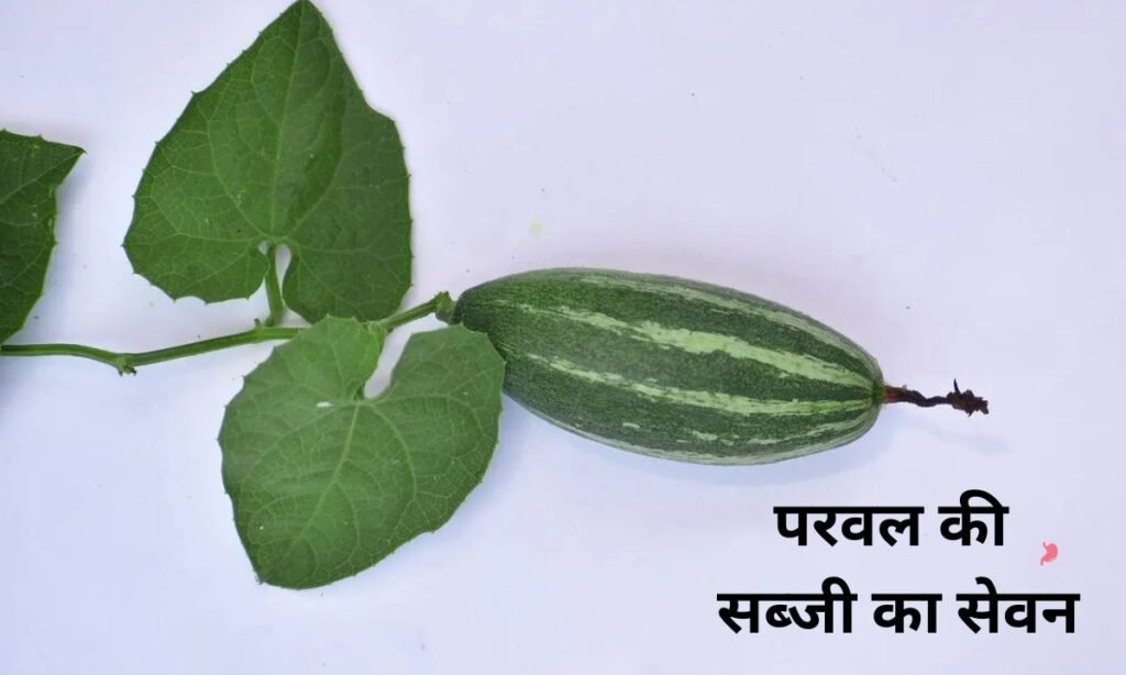 परवल की सब्जी का सेवन, किसको करना चाहिए