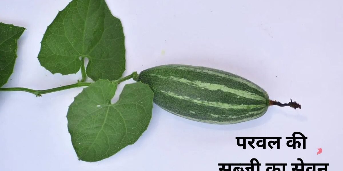 Who should consume Parwal vegetable?
