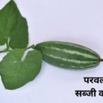 Who should consume Parwal vegetable?