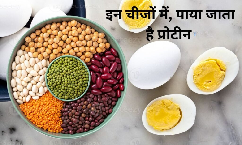 अंडे के अलावा इन चीजों में, पाया जाता है प्रोटीन
