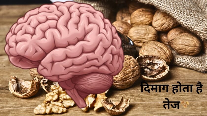 By consuming this dry fruit, the brain becomes sharp