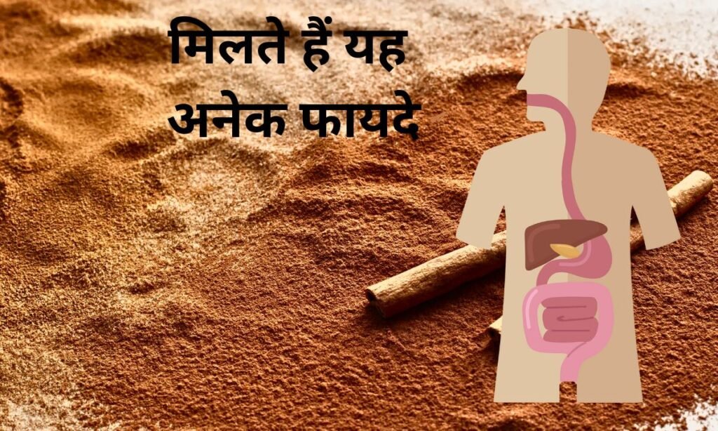 दालचीनी का सेवन करने से, मिलते हैं यह अनेक फायदे