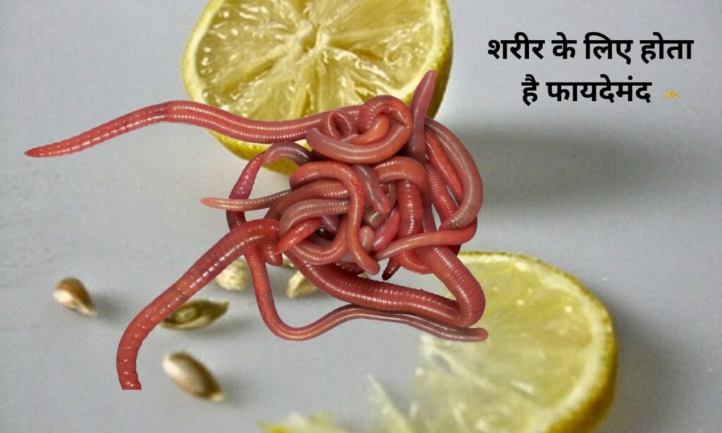 नींबू के बीज का सेवन, शरीर के लिए होता है फायदेमंद
