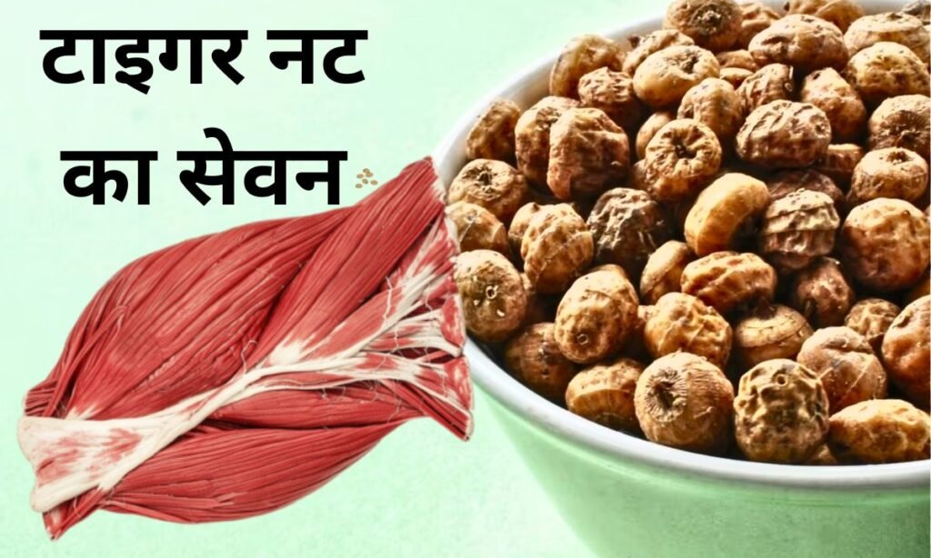 टाइगर नट्स का सेवन, शरीर के लिए होता है फायदेमंद
