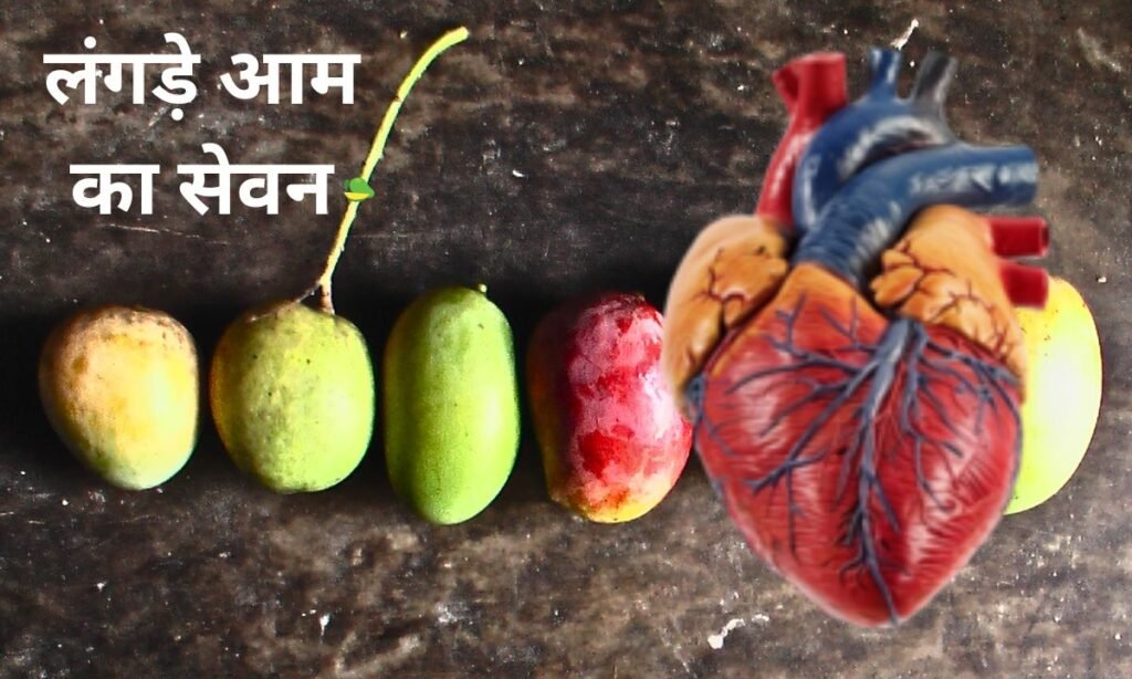 गर्मी के मौसम में करें, लंगड़े आम का सेवन
