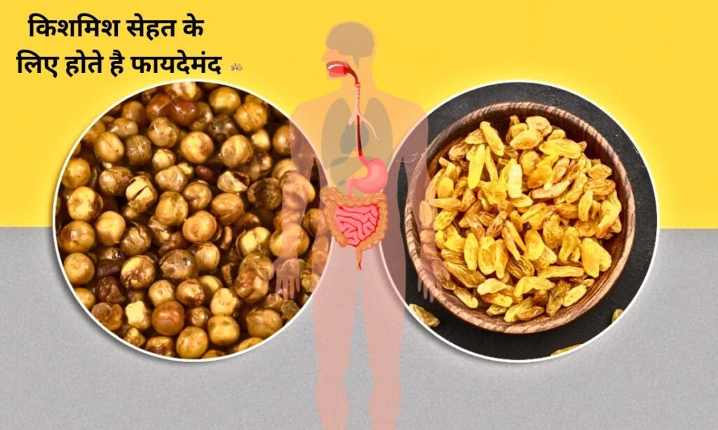 Roasted gram and raisins are beneficial for health