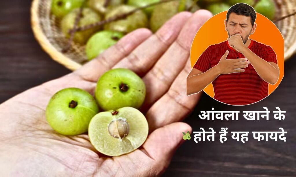 रोजाना एक या फिर दो, आंवला खाने के होते हैं यह फायदे