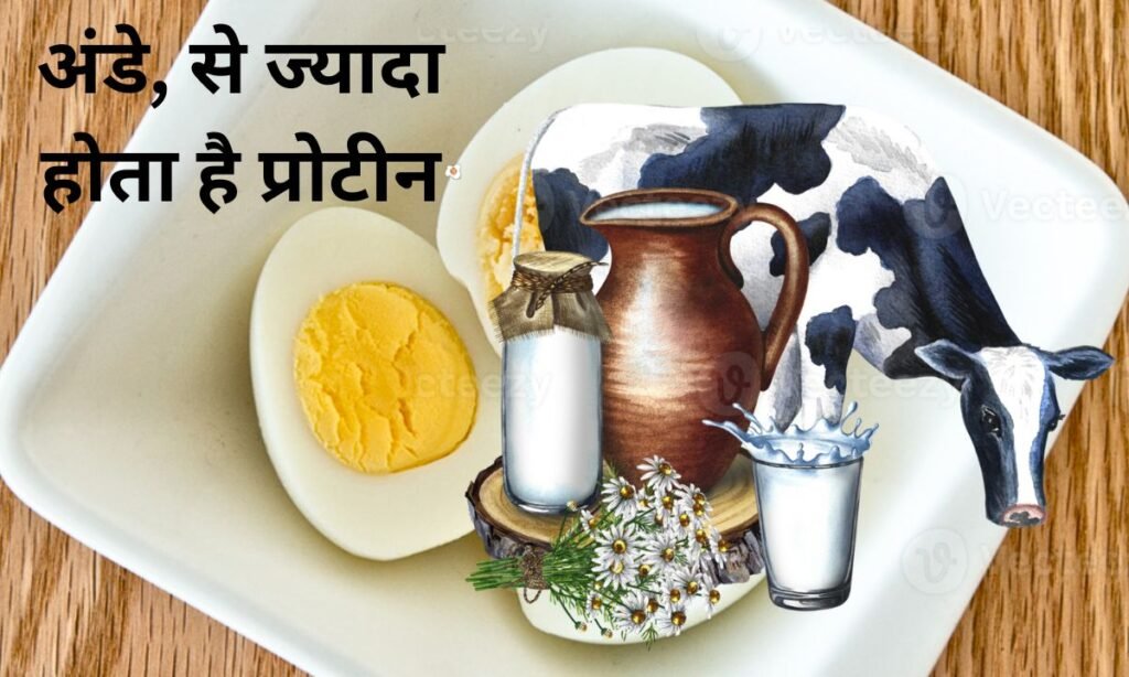 इन ड्रिंक्स में अंडे, से ज्यादा होता है प्रोटीन