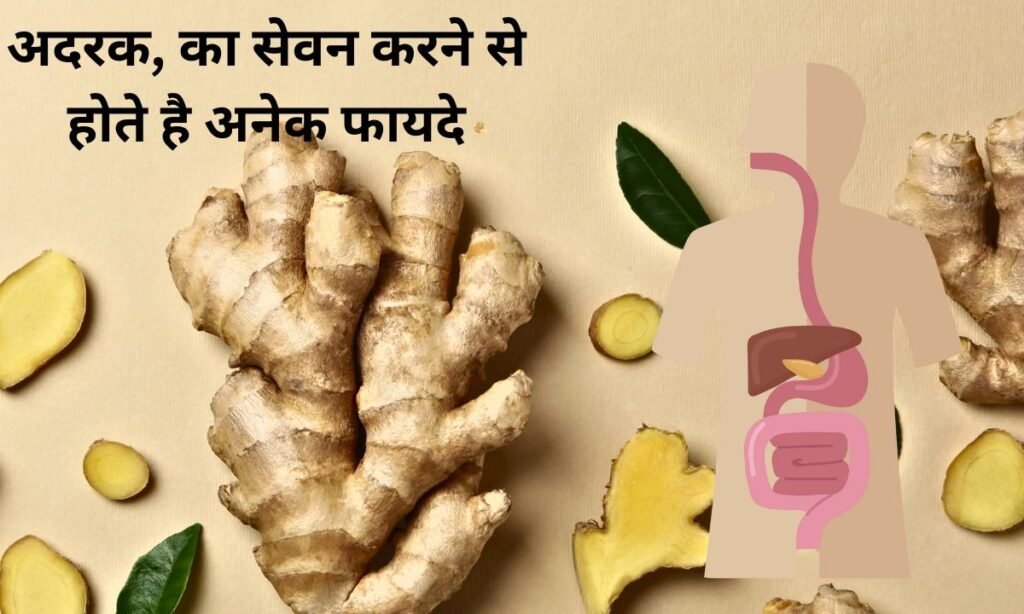 There are many benefits of consuming roasted ginger