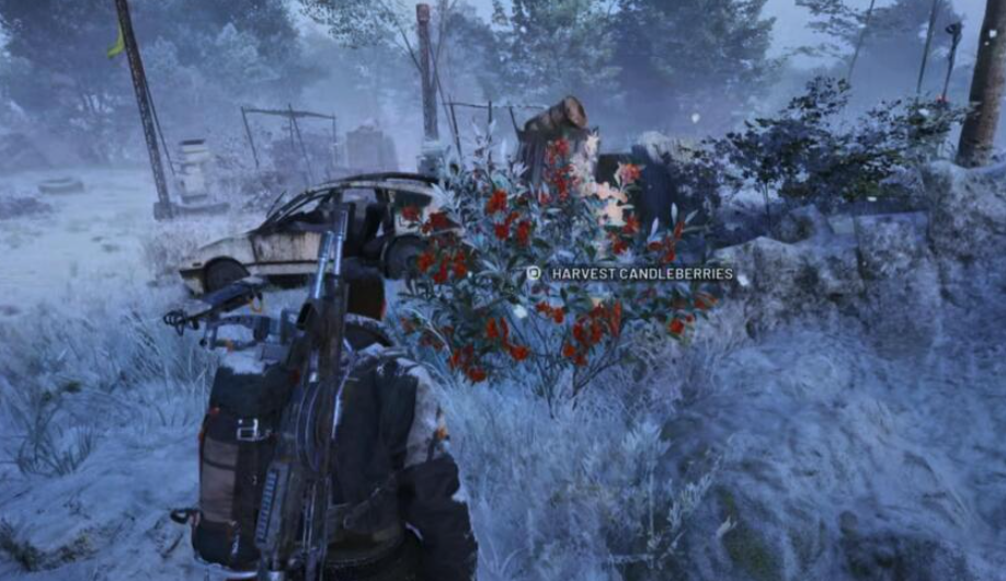 Arc Raiders में Candleberries और Flickering Flames Items का रहस्यमयी ठिकाना… क्या आप इसे ढूँढ पाएंगे?